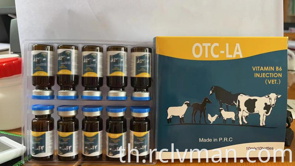 Vitamin B6 Injection 2